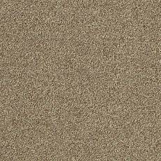 Ковровая плитка Interface Biosfera Boucle 7879 Occhio di Tigre фото 1 | FLOORDEALER